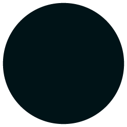 black RAL9005